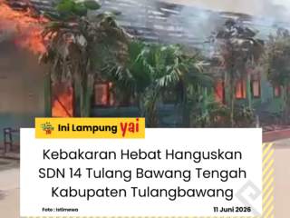 Kebakaran Hebat Hanguskan SDN 14 Tulang Bawang Tengah