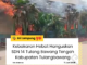 Kebakaran Hebat Hanguskan SDN 14 Tulang Bawang Tengah
